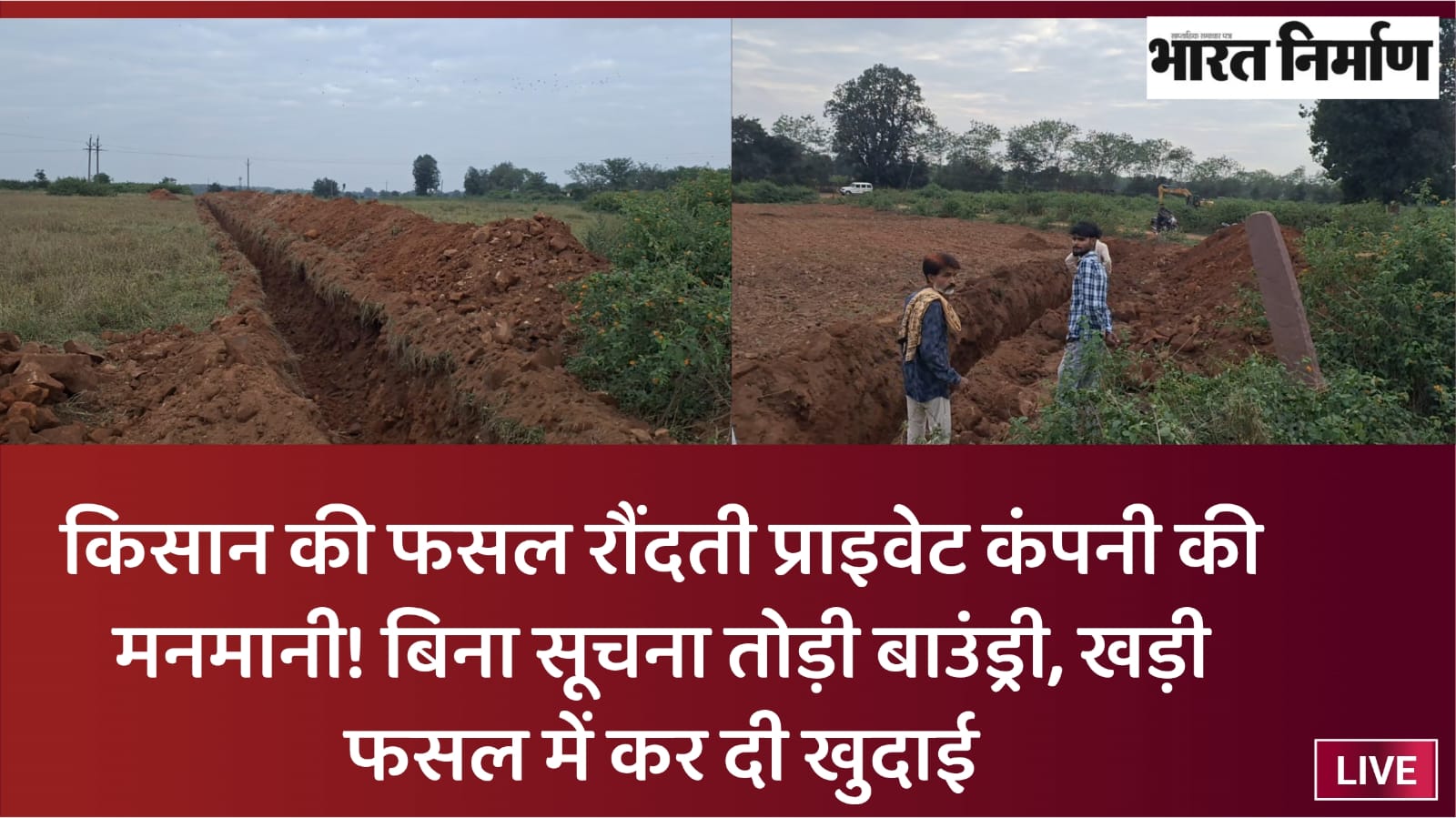 किसानों की फसल रौंदती प्राइवेट कंपनी की मनमानी!बिना सूचना तोड़ी बाउंड्री, खड़ी फसल में कर दी खुदाई।