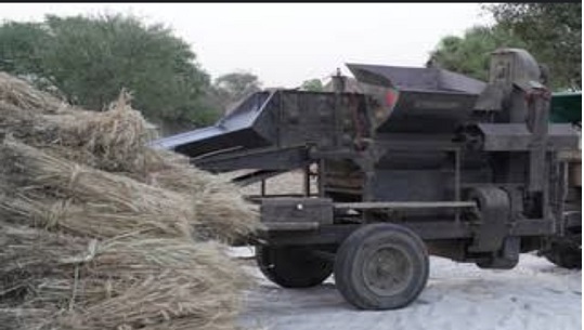 गेहूं निकलते समय ट्रैक्टर से हुआ हादसा युवक की दर्दनाक मौत