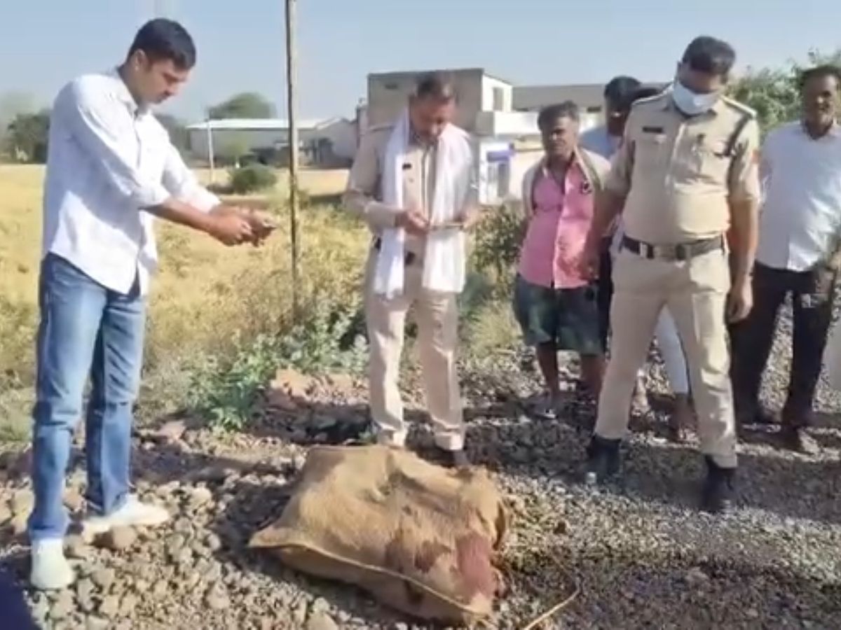 सागर के कर्रापुर में बोरी में मिला खून से लथपथ युवक का शव, क्षेत्र में सनसनी