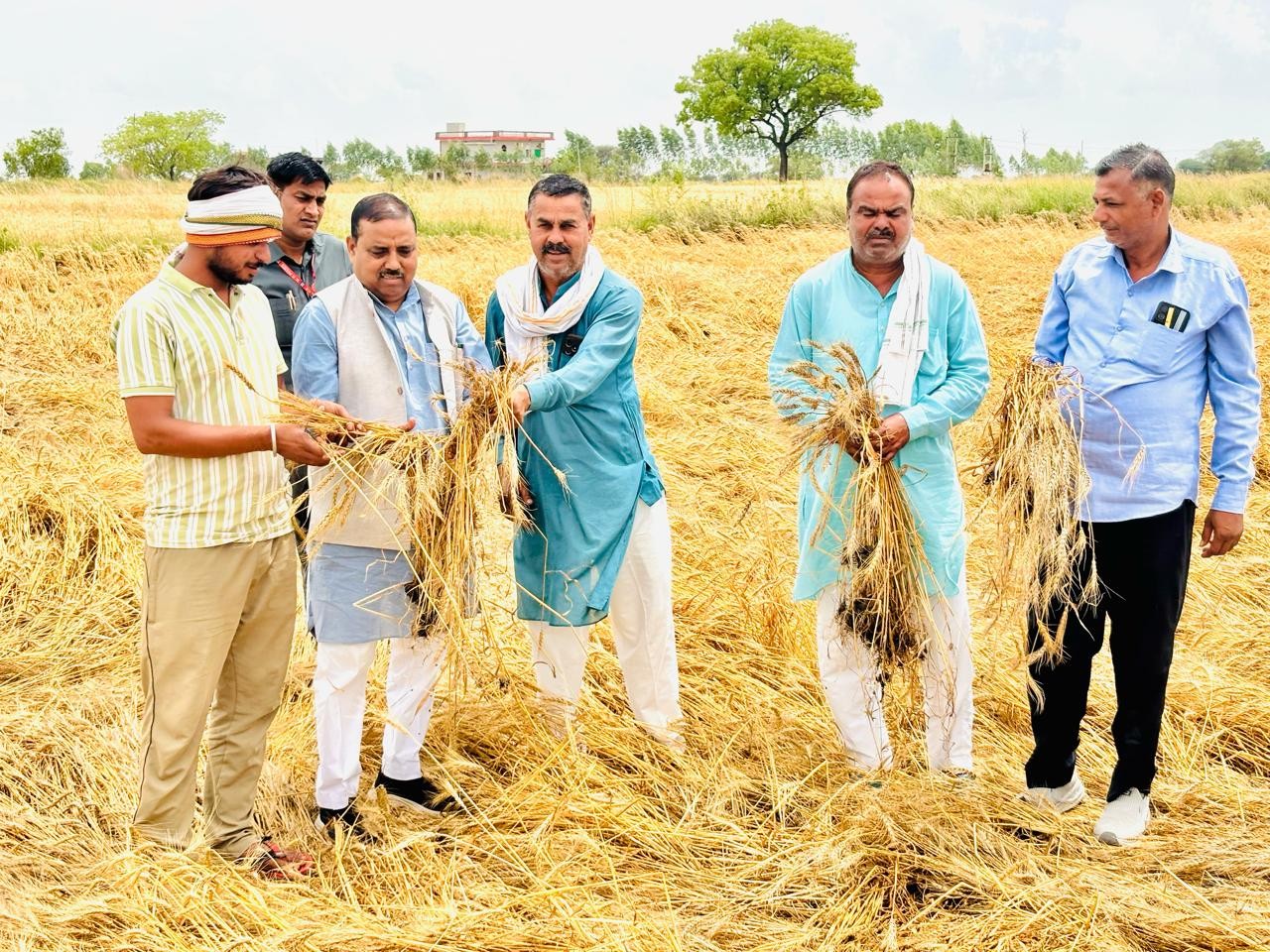 डबरा में फसल बर्बादी पर कांग्रेस का प्रदर्शन, सर्वे और मुआवजे की मांग