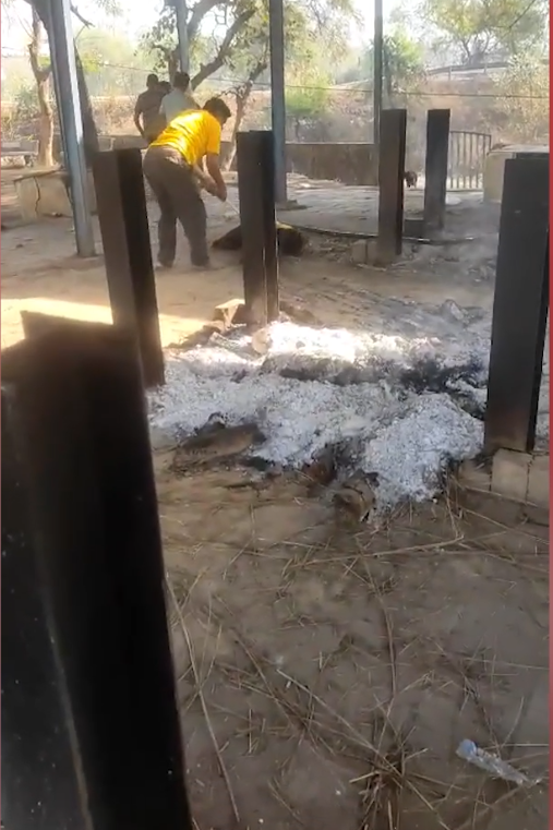 श्मशान घाट में सनसनी: युवक ने चिता पर लेटकर दी जान