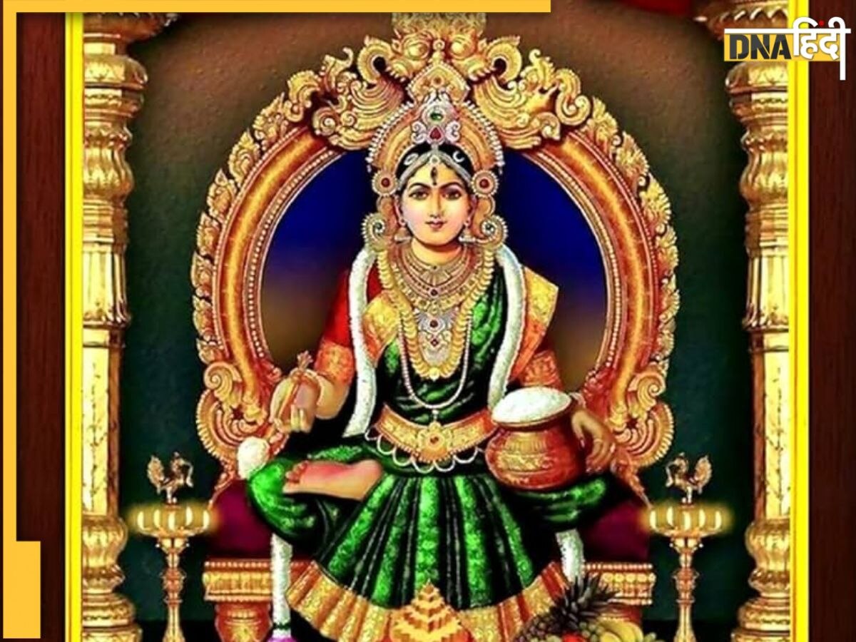 “अक्षय तृतीया पर जबलपुर में मां अन्नपूर्णा देवी का भव्य प्राकट्योत्सव, भक्ति में डूबा शहर”