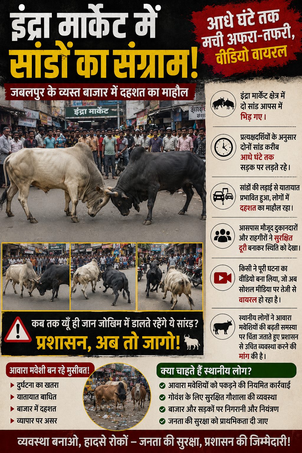 इंद्रा मार्केट में सांडों की भिड़ंत, आधे घंटे तक हंगामा