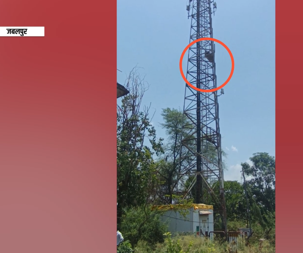 जमीन विवाद से परेशान महिला 6 घंटे तक मोबाइल टावर पर चढ़ी रही