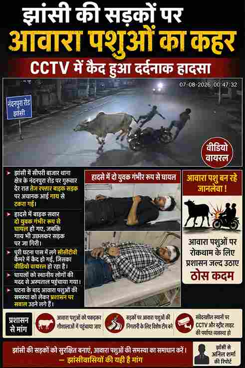 झांसी में आवारा पशु से टकराई बाइक, दो घायल