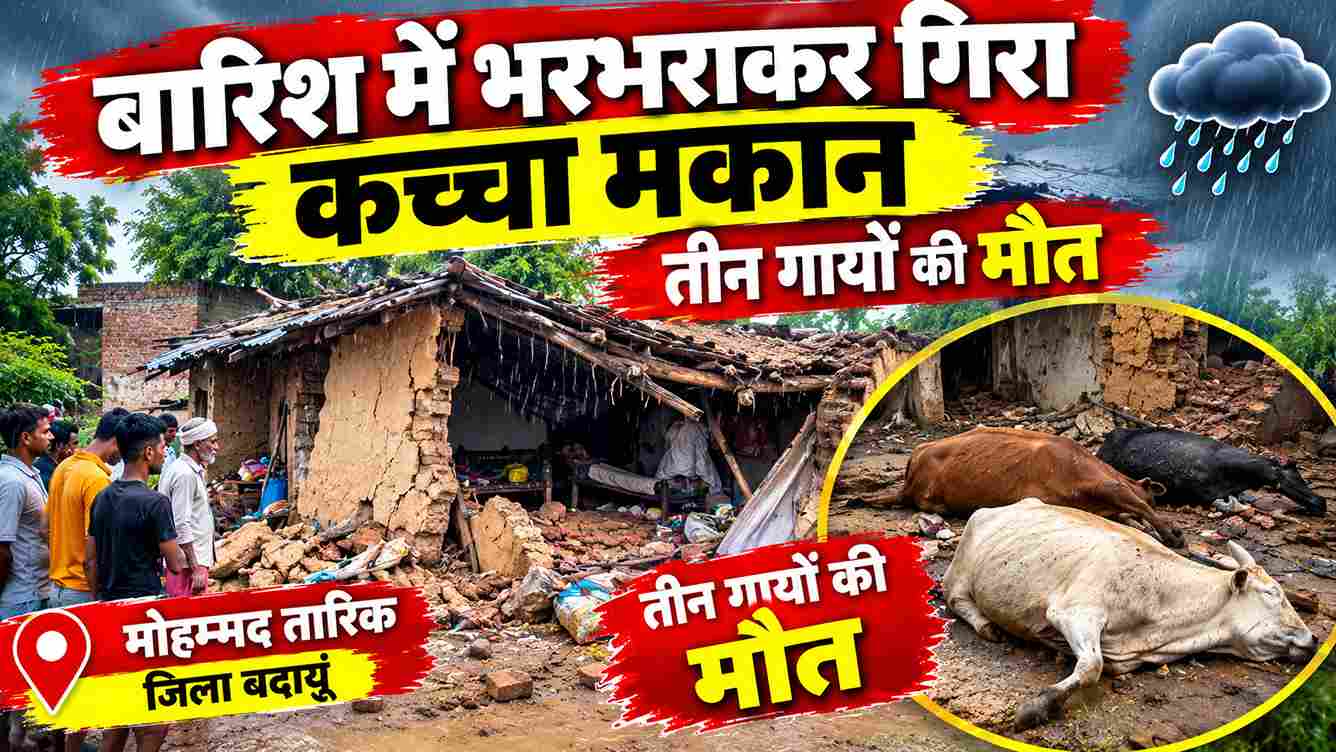बारिश में कच्चा मकान ढहा, मलबे में दबकर 3 गायों की मौत