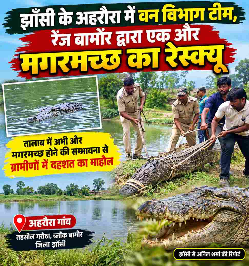 अहरौरा तालाब में एक और मगरमच्छ का रेस्क्यू, ग्रामीणों में दहशत