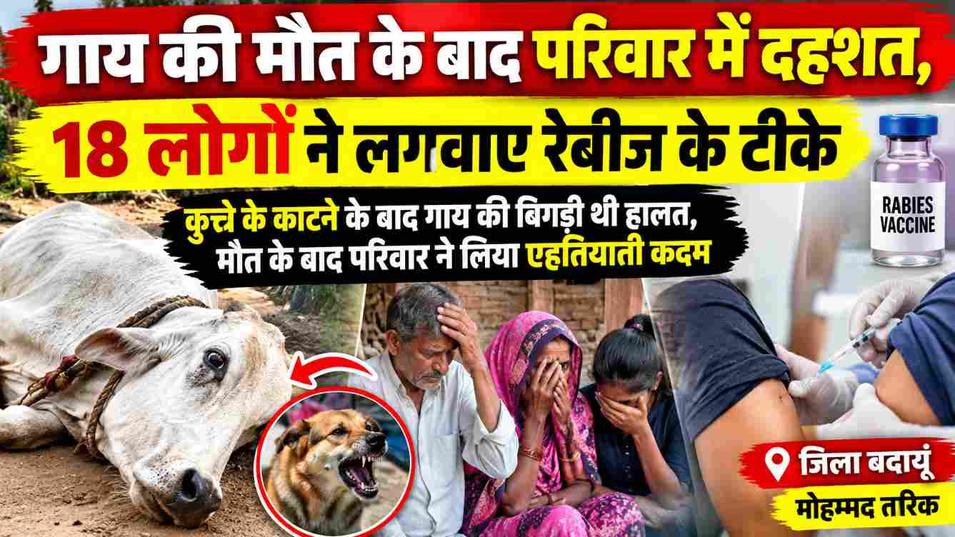 गाय की मौत के बाद दहशत, 18 लोगों ने लगवाए रेबीज के टीके